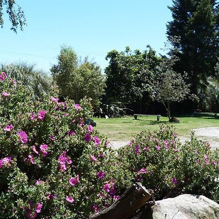 Fernwood Holiday Park Motueka Cameră foto