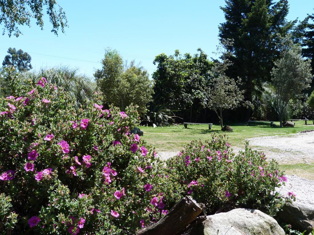 Fernwood Holiday Park Motueka Cameră foto